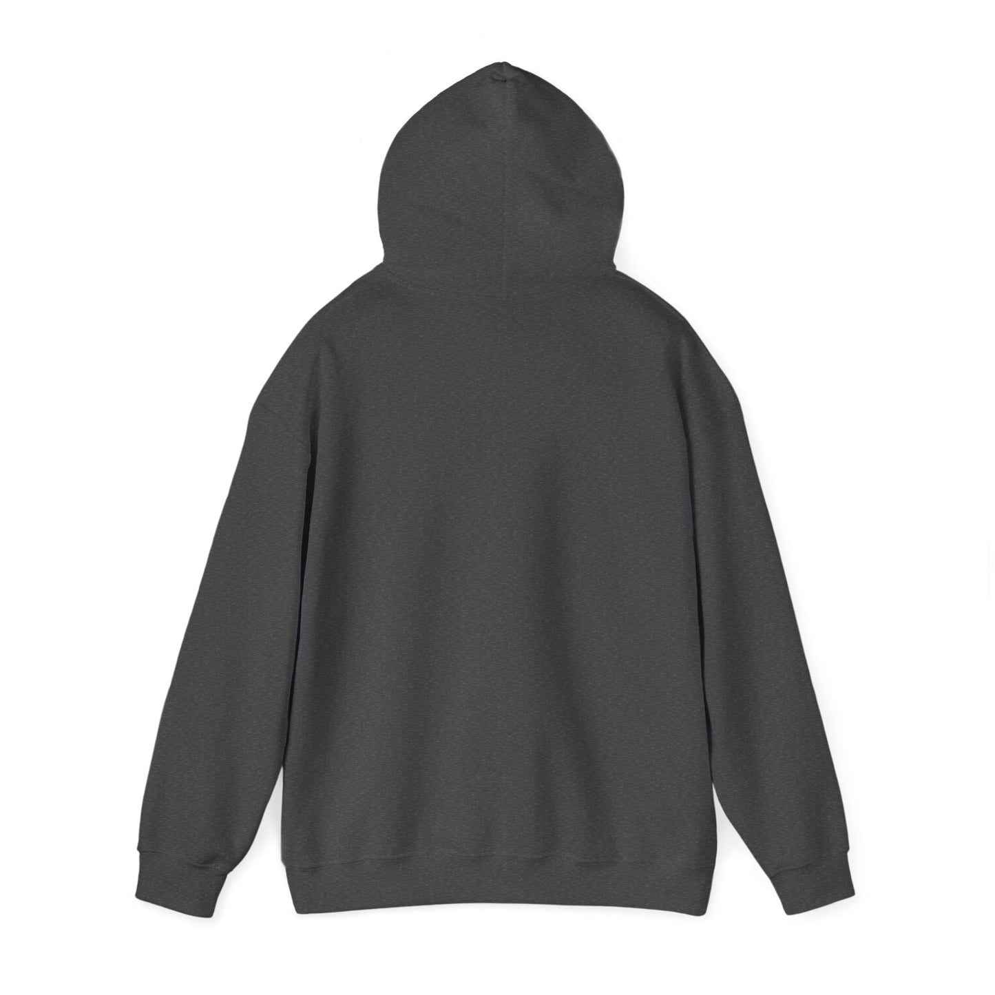 Arabic 'Sabr' Minimalist Hoodie — Patience Script Hooded Sweatshirt